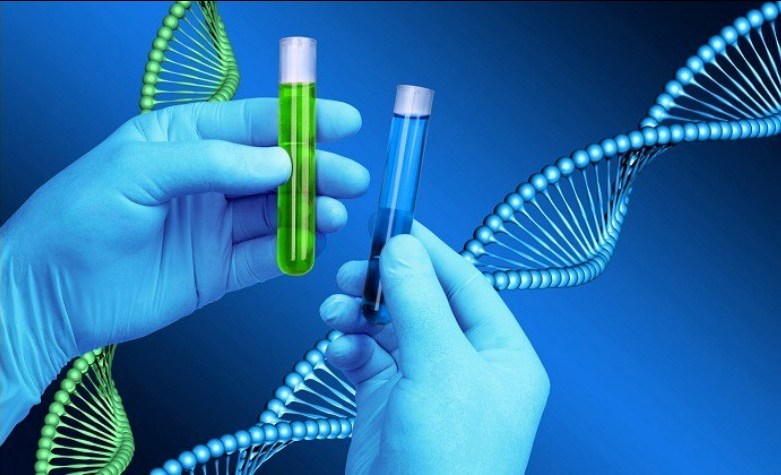 डीएनए परीक्षण