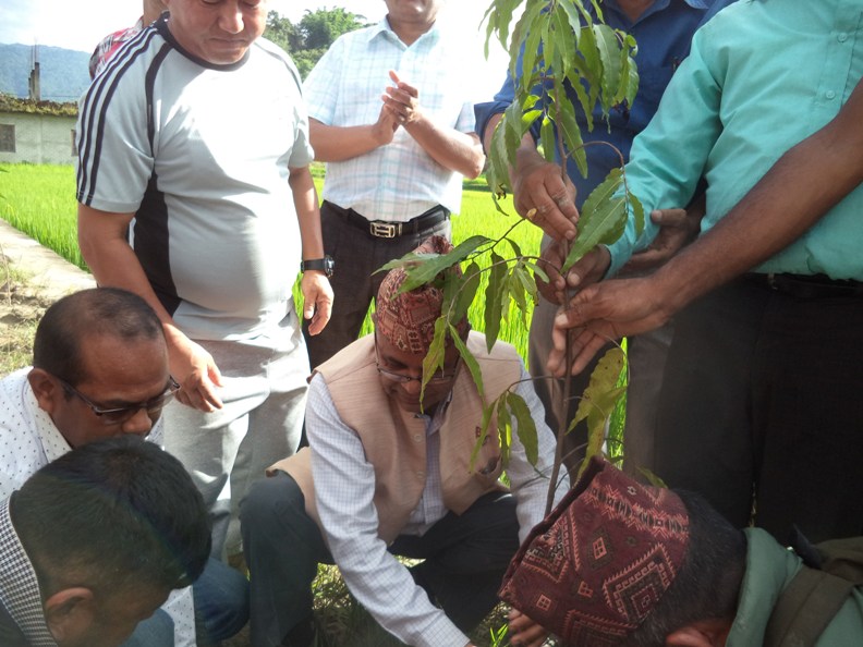 Monahara Rameshwor Phuyal