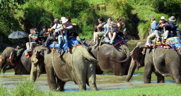 विदेशी पर्यटक