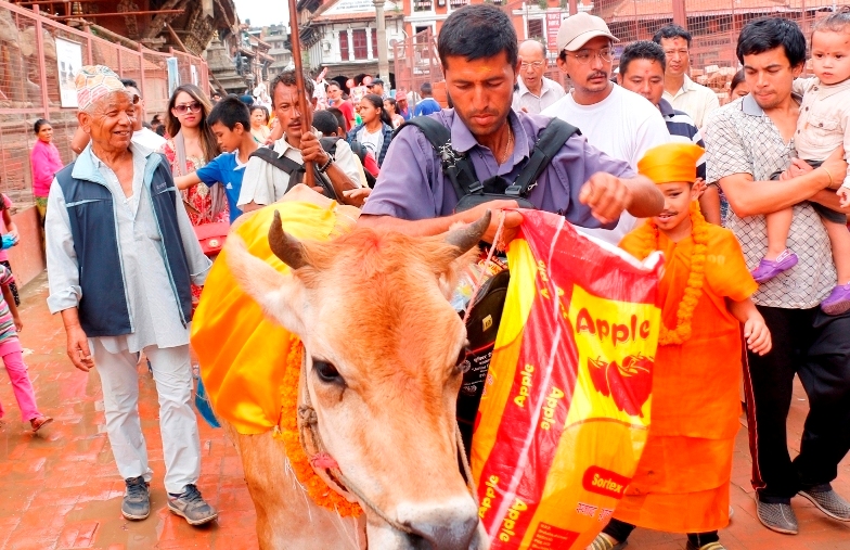 गाईजात्रा