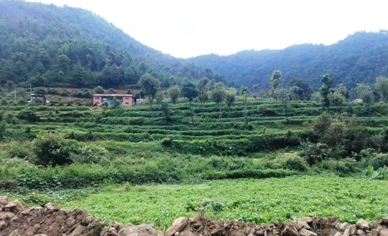 चित्लाङ 7