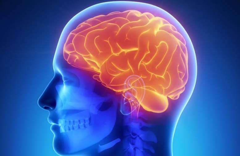 स्मरण शक्ति