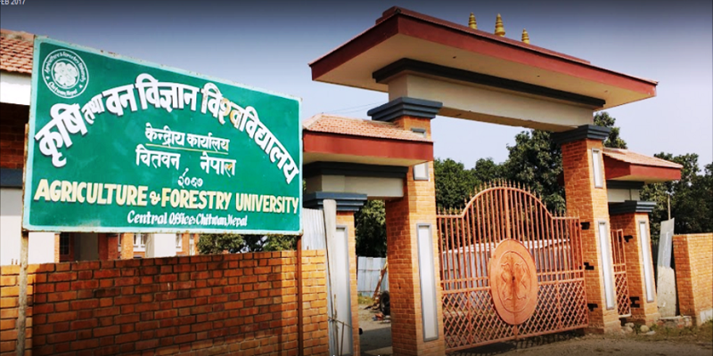 rampur krishi campus