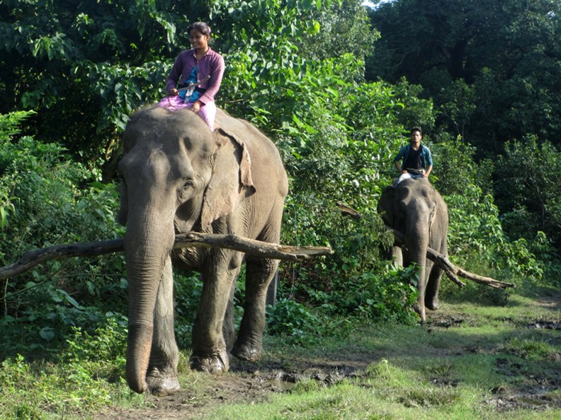 Kanchanpur(बिमला)