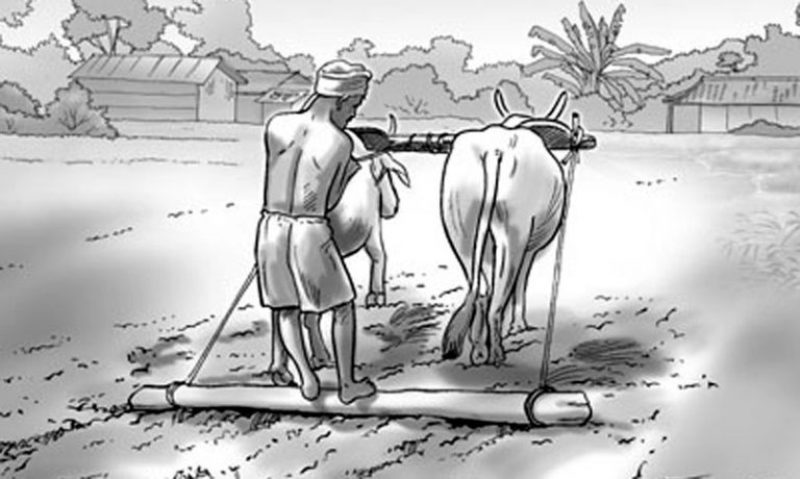 मुक्त कमैया