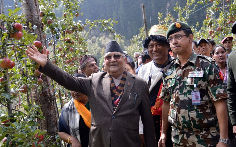 kp oli