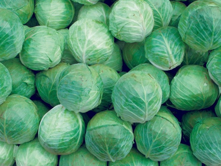 तरकारी बन्दा