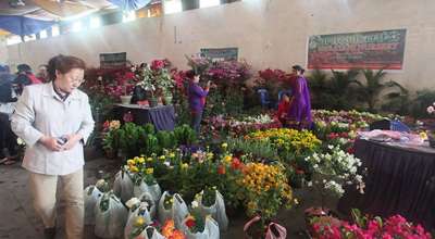 फ्लोरा एक्पो