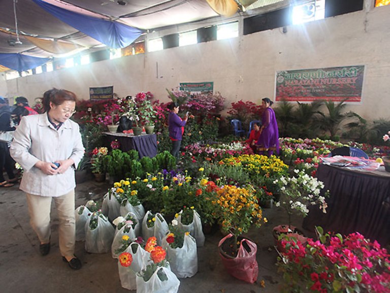 फ्लोरा एक्पो