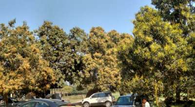 आँपको मज्जर