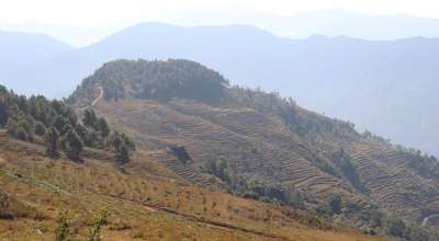 नुवाकोटको बाँझो पर्यटकीय क्षेत्र बाघमार