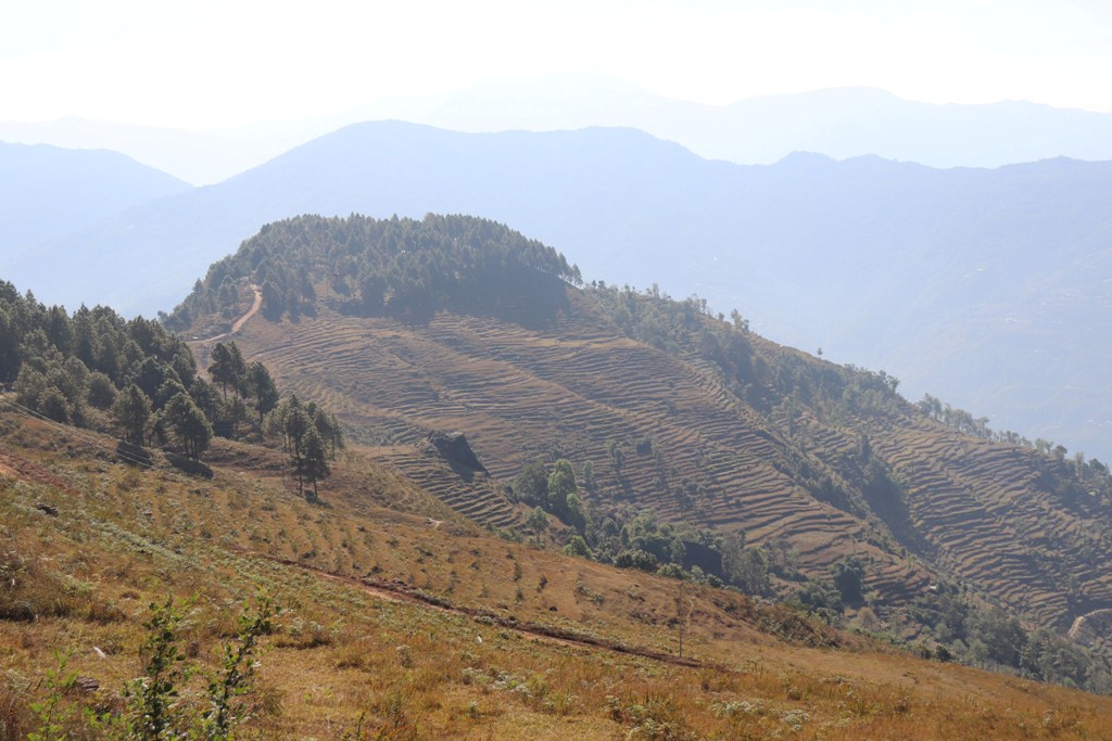 नुवाकोटको बाँझो पर्यटकीय क्षेत्र बाघमार