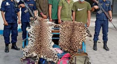 काठमाडौँको बूढानीलकण्ठबाट चितुवाको छालासहित ४ जना पक्राउ