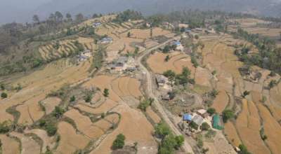 डडेल्धुरा जिल्लाको मलास क्षेत्र बाख्रापालनको ‘हब’