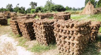 इन्धनका लागि ‘गुइँठा’