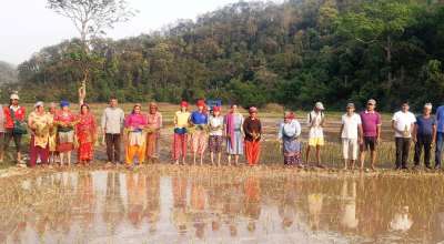 सामूहिक खेती