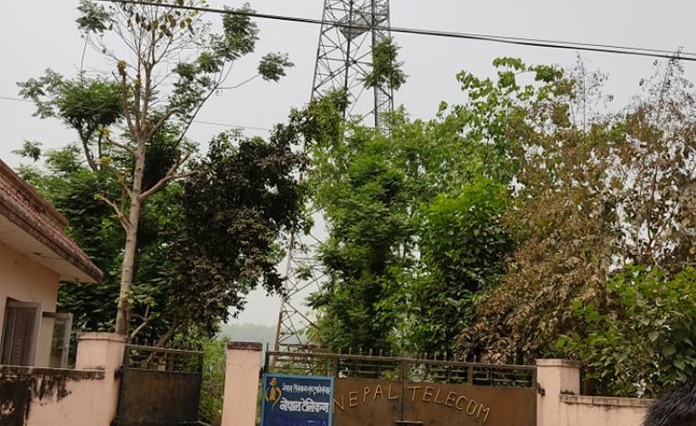 टेलिफोन सेवा