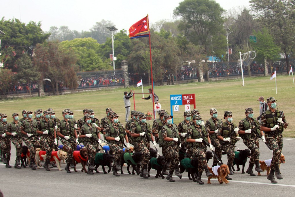 टुँडिखेलमा घोडेजात्रा 