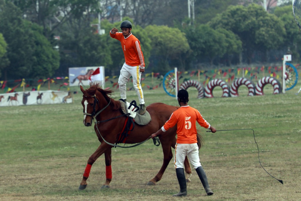 टुँडिखेलमा घोडेजात्रा 