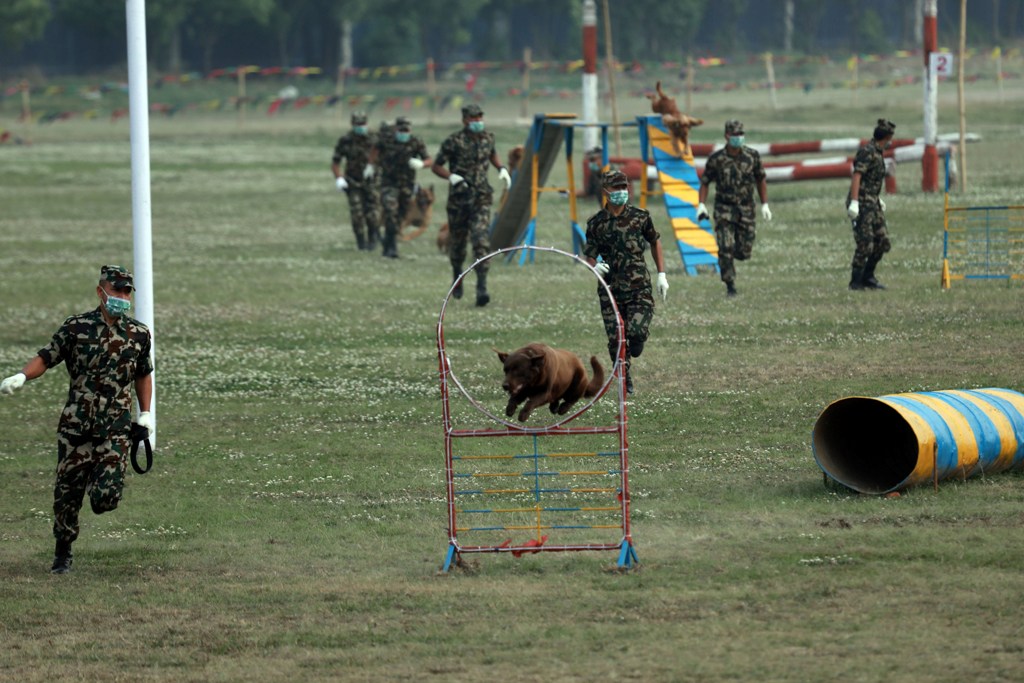 टुँडिखेलमा घोडेजात्रा 