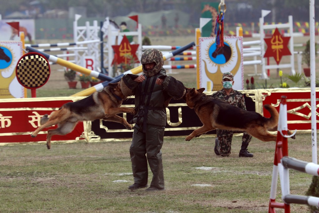 टुँडिखेलमा घोडेजात्रा 