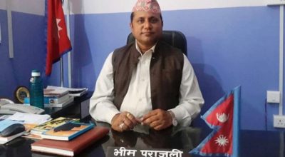 भीम पराजुली