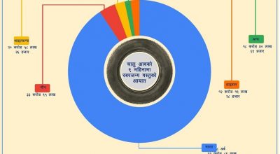 टायर आयात