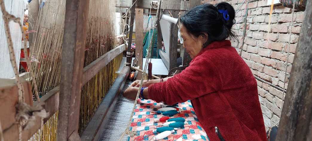 पाल्पाली ढाका