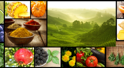 वैकल्पिक चिकित्सा