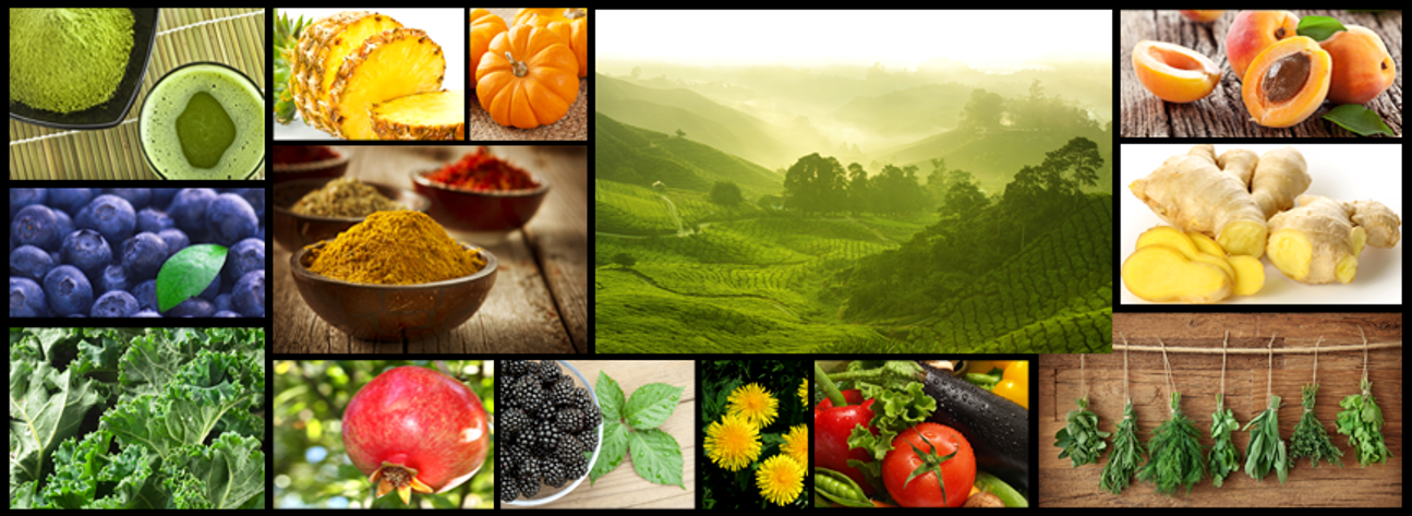 वैकल्पिक चिकित्सा