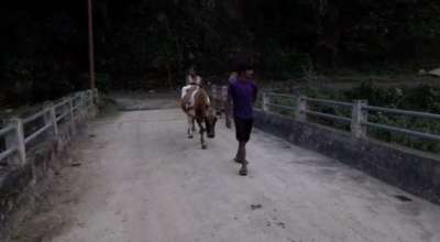 पक्की पुल