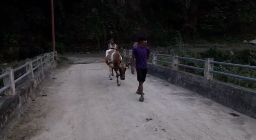 पक्की पुल