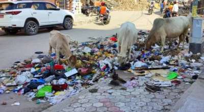 जनकपुरधामको फोहरमैला