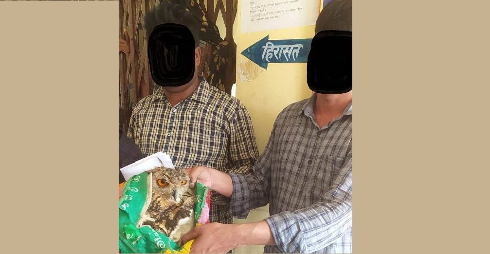 लाटोकोसेरोसहित २ जना भारतीय नागरिक पक्राउ