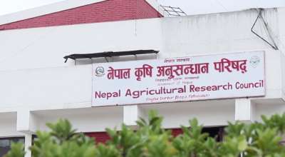 नेपाल कृषि अनुसन्धान परिषद् (नार्क)