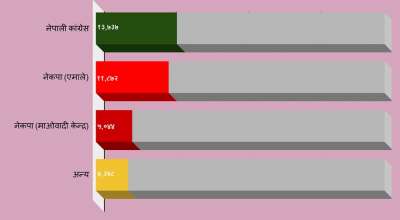 निर्वाचन परिणाम