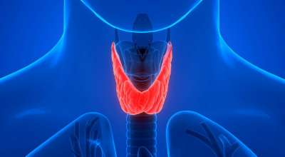 थाइराइड