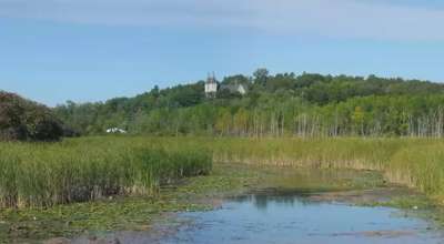 विश्व सिमसार दिवस