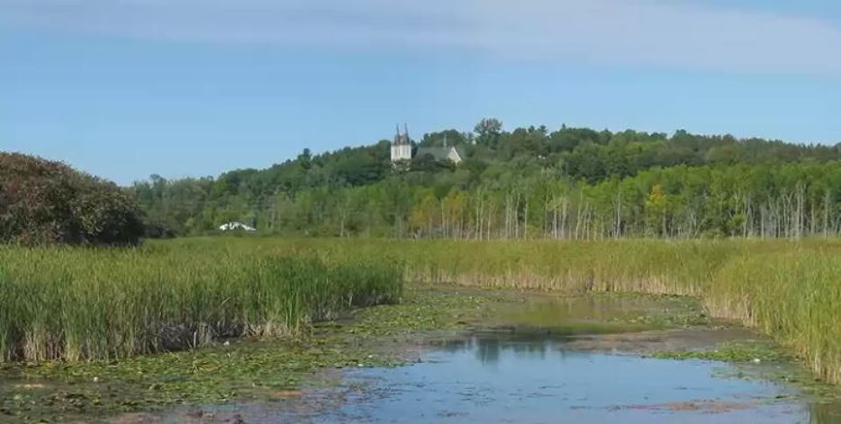 विश्व सिमसार दिवस