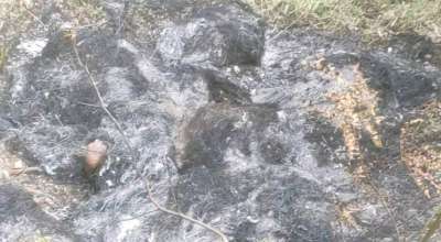 आगो लगाएर एकल महिलाको हत्या