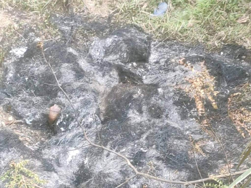 आगो लगाएर एकल महिलाको हत्या