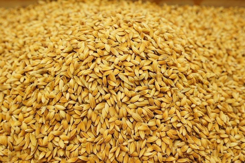 धानको बीउ