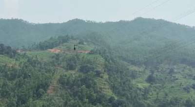 प्रसारण लाइनमा झुण्डिएका माइला विक