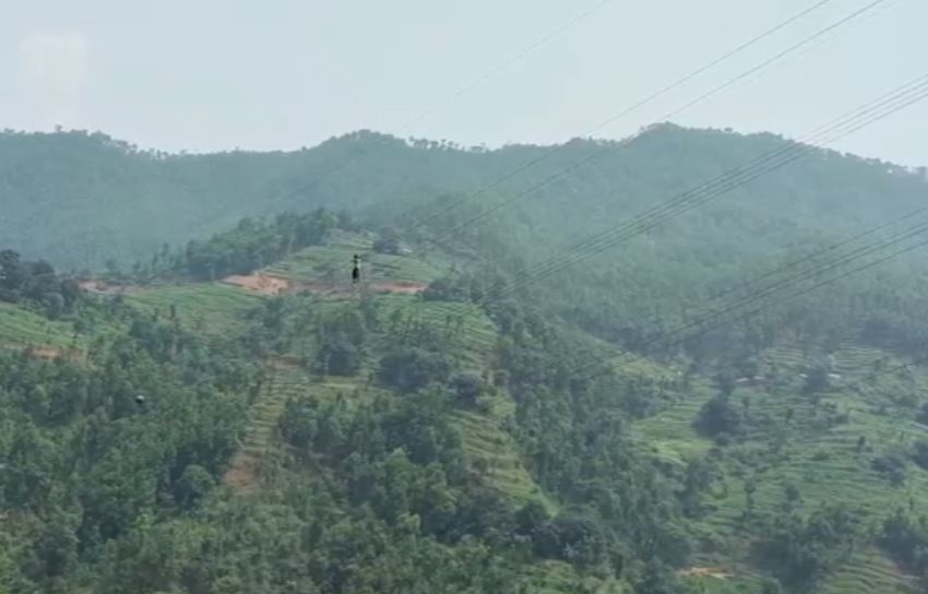 प्रसारण लाइनमा झुण्डिएका माइला विक