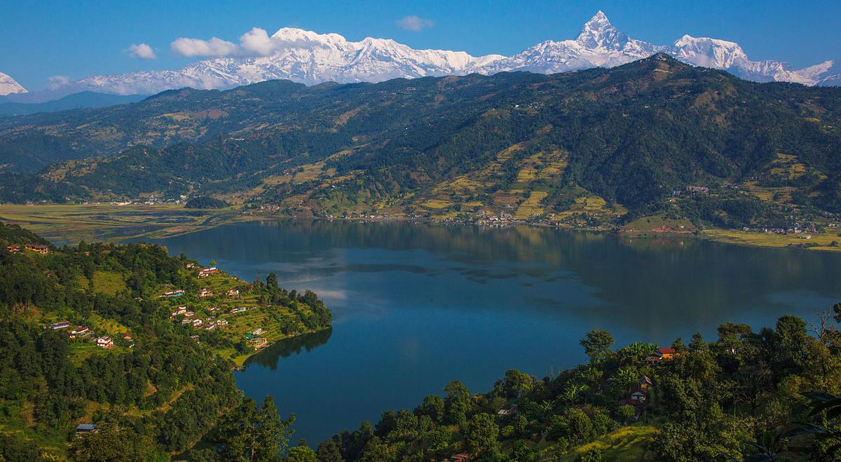 फेवा ताल