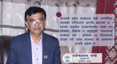 राजेन्द्रप्रसाद पाण्डे