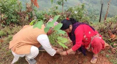 बृक्षारोपण