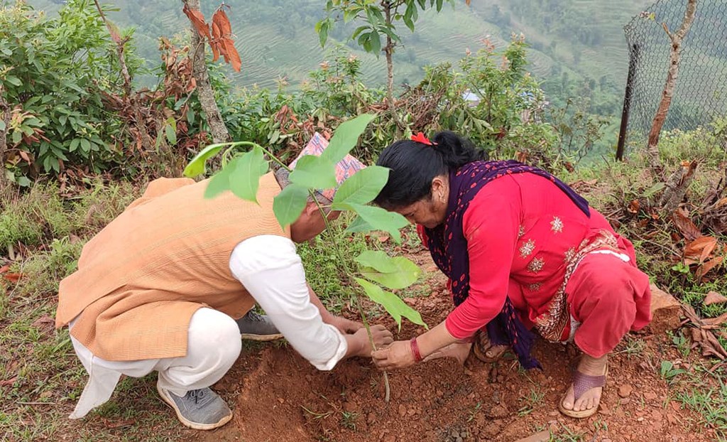 बृक्षारोपण