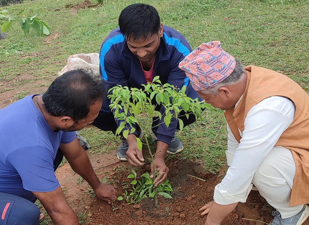 बृक्षारोपण