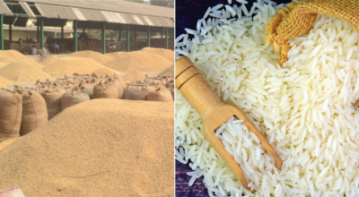 धान चामल आयात